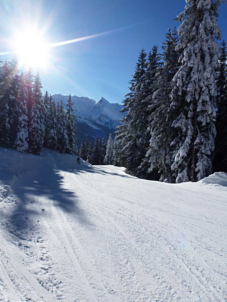 ski, mountains, departure, fir trees, snow, to ski, sports, ski slope, winter, nature, landscape, forest, mountain, heaven, alps, panorama, tourism, trees, sun, blue, austria, scenic, to travel